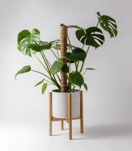 w plant care coir poles 1 0.jpg