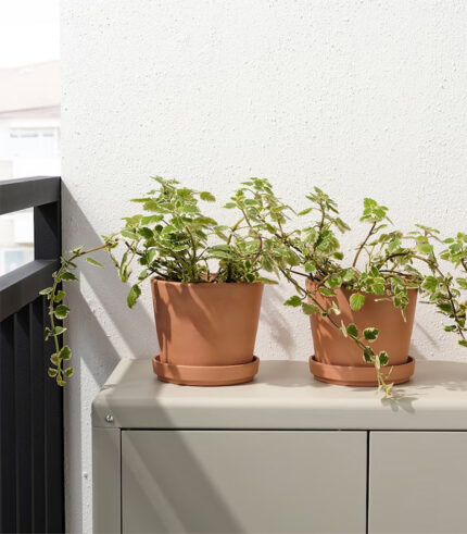 w planters 7 0.jpg